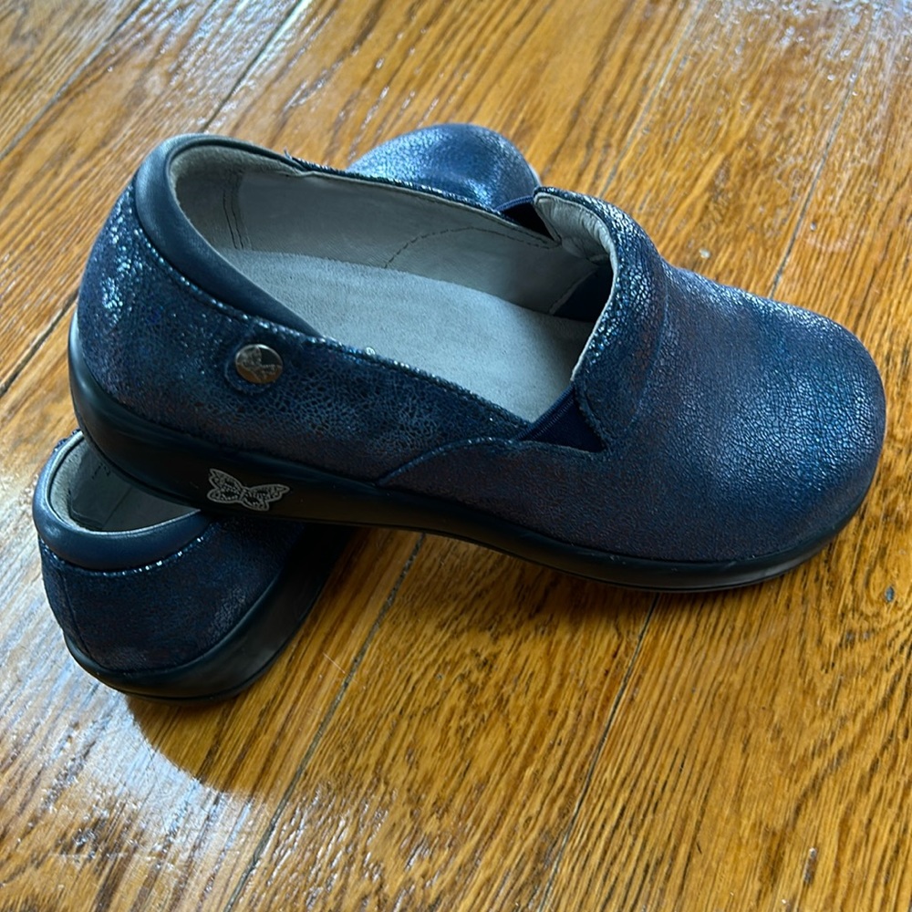 Algeria blue iridescent clogs.  Leather uppers slip resistant soles.  Size 9.